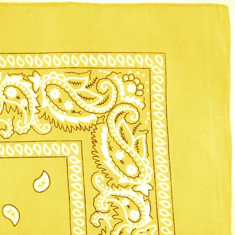 TZ Promise 12 Pack Bulk 100% Cotton Paisley Bandana Head Wrap Size 22 x 22 inches - Image 2